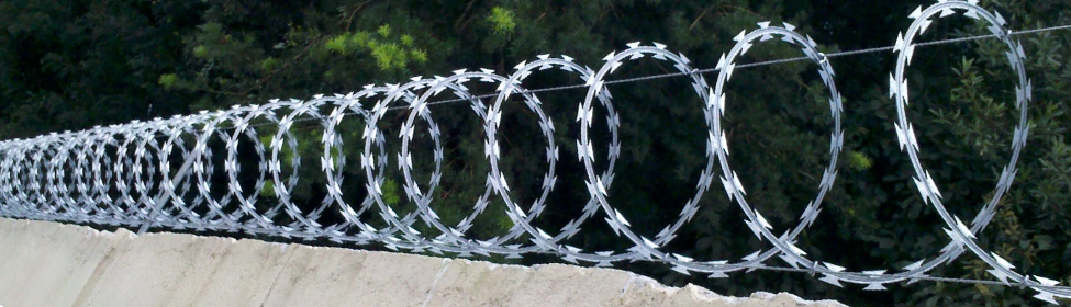 Arames de concertina